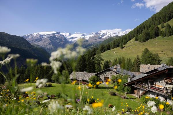 Hotellerie De Mascognaz - hotel with ev charging station in Valle d'Aosta